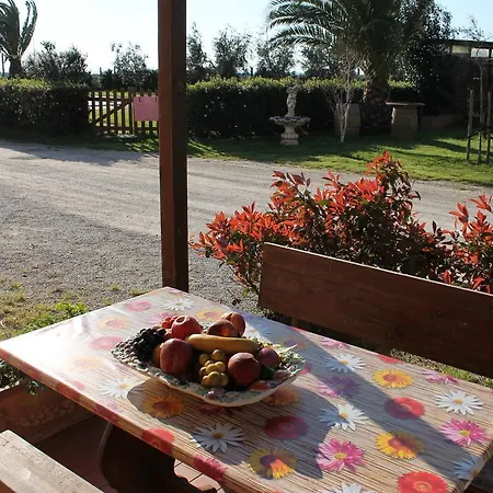 Barbadoro *