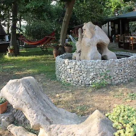 Barbadoro