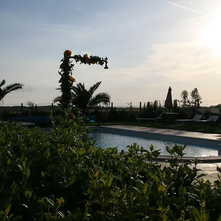 Barbadoro