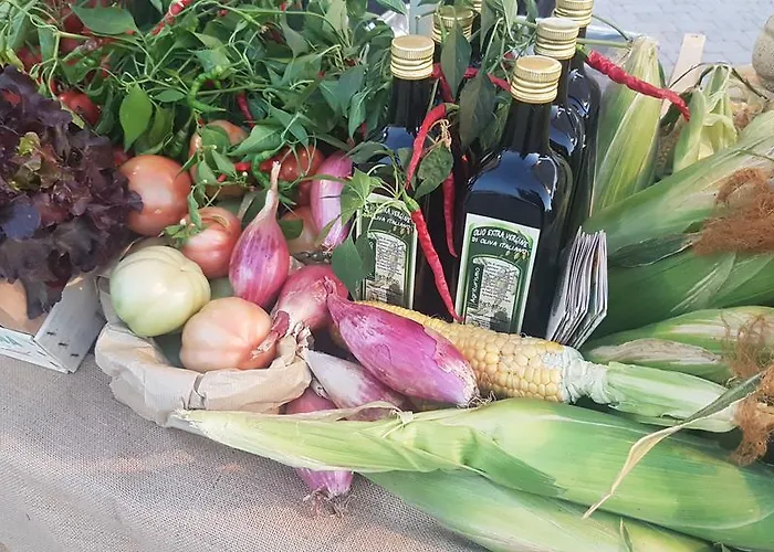 Farmház Barbadoro *